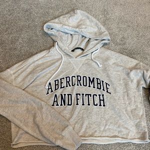 Abercrombie & Fitch Cropped Hoodie